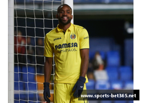 2017年国安阵容：回顾球员辉煌与转变