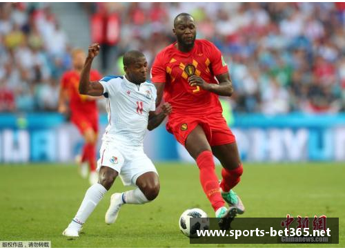 球场上的泪水：一个球员的感人故事