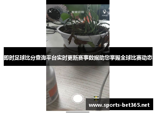 即时足球比分查询平台实时更新赛事数据助您掌握全球比赛动态